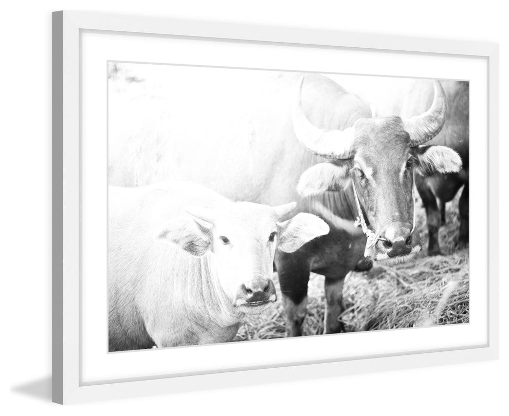 Marmont Hill, "Bovine Pair" Framed Painting Print, 36x24