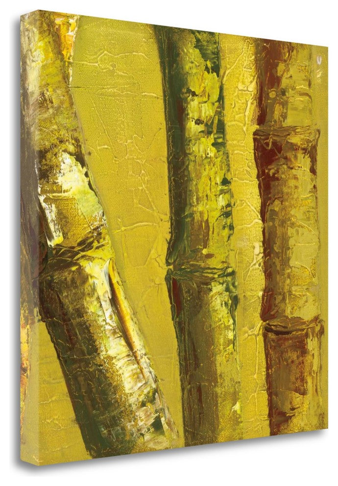"Bamboo Columbia IV" By Tita Quintero, Giclee Print on Gallery Wrap Canvas