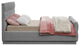 Paxton Chenille Fabric Upholstered Bed, Gray, Queen