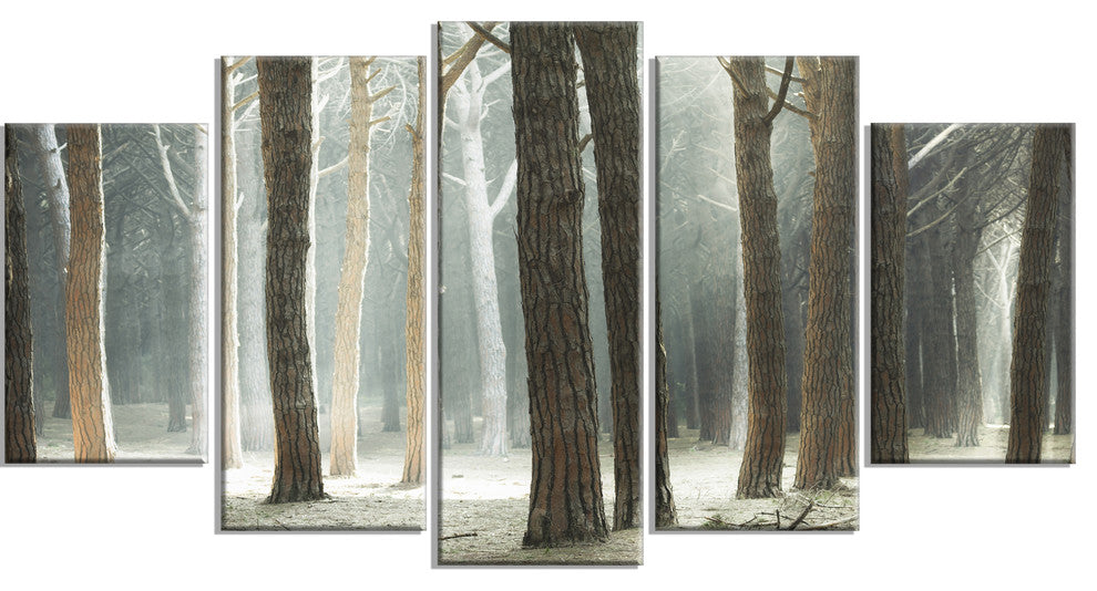 "Maritime Pine Tree Forest With Rays" Forest Wall Art, 5 Panels, 60"x32"