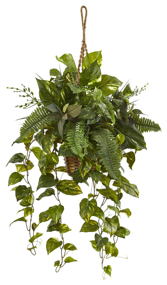 Mixed Pothos and Boston Artificial Fern, Hanging Basket