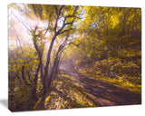 Bicycle Ride in Fall Forest, Landscape Canvas Art Print, 20"x12"