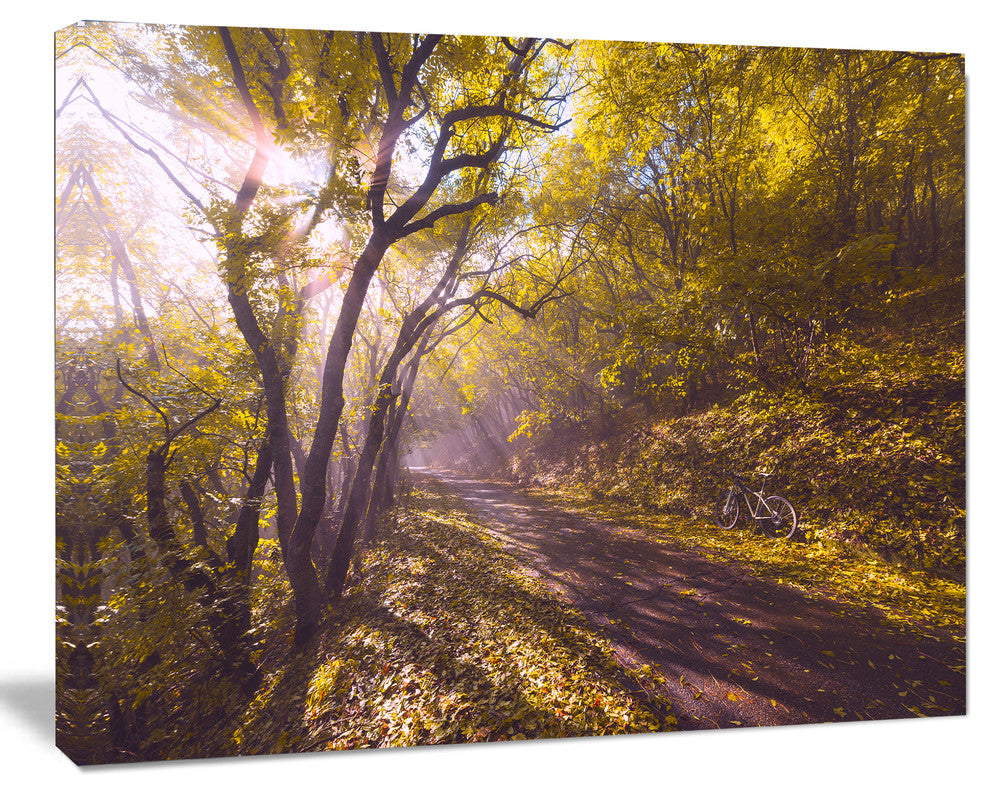 Bicycle Ride in Fall Forest, Landscape Canvas Art Print, 20"x12"