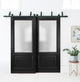 Slab Barn Door 24 x 80, Lucia 22 Black Frosted Glass, Sliding