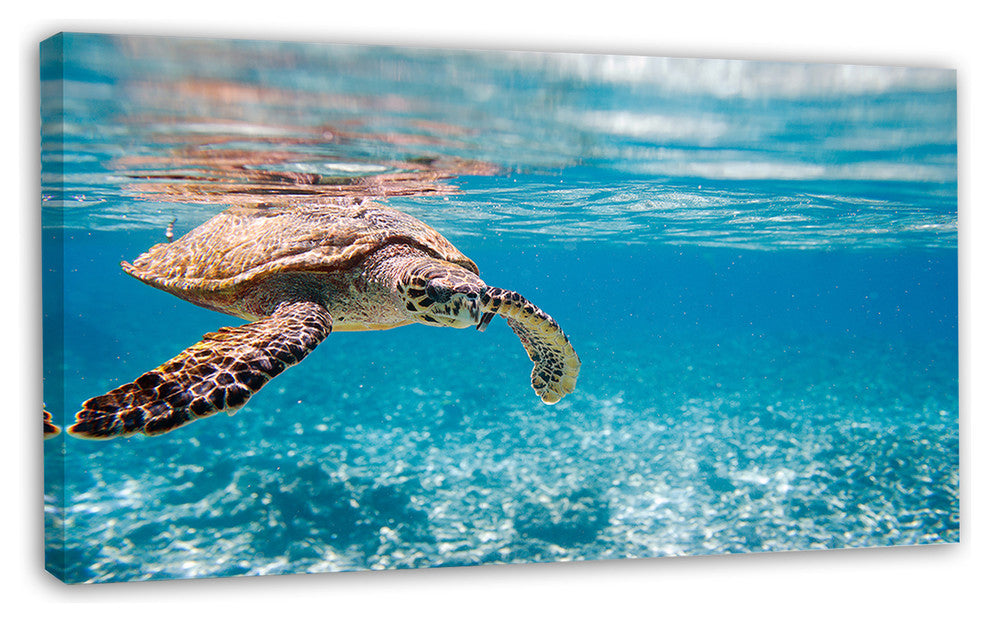 Large Hawksbill Sea Turtle, Abstract Canvas Art Print, 32"x16"