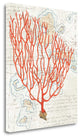 "Textured Coral IV" By Avery Tillmon, Giclee Print on Gallery Wrap Canvas