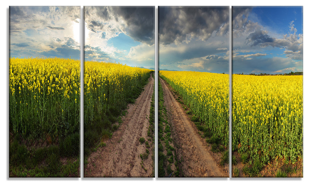 Sunset over Canola Panorama, Landscape Canvas Art Print, 48"x28", 4 Panels