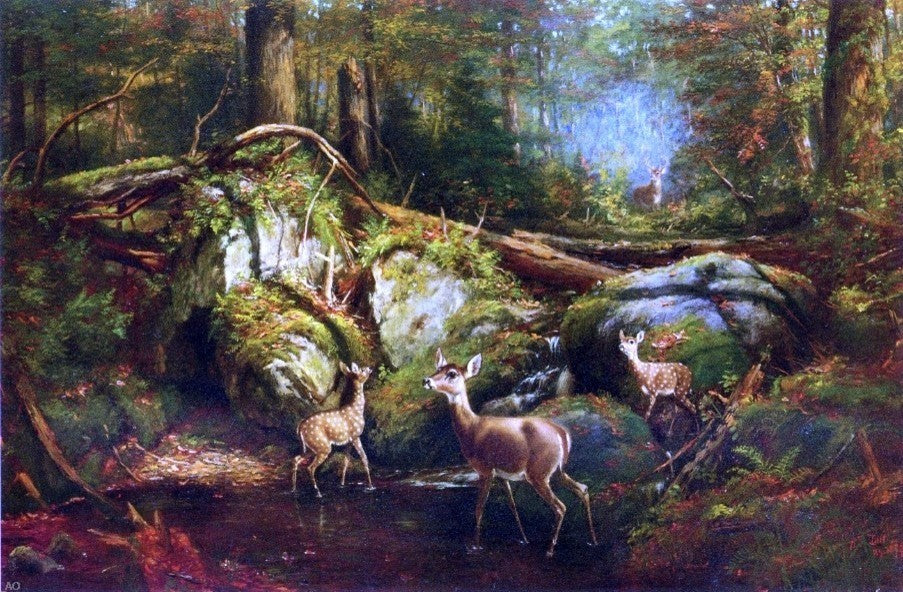 Arthur Fitzwilliam Tait Deer in the Adirondacks Wall Decal