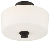 Travis 2 Light Ceiling Mount in Black Forged