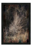 "Illumination", Framed Photograph Print, Ready To Hang
