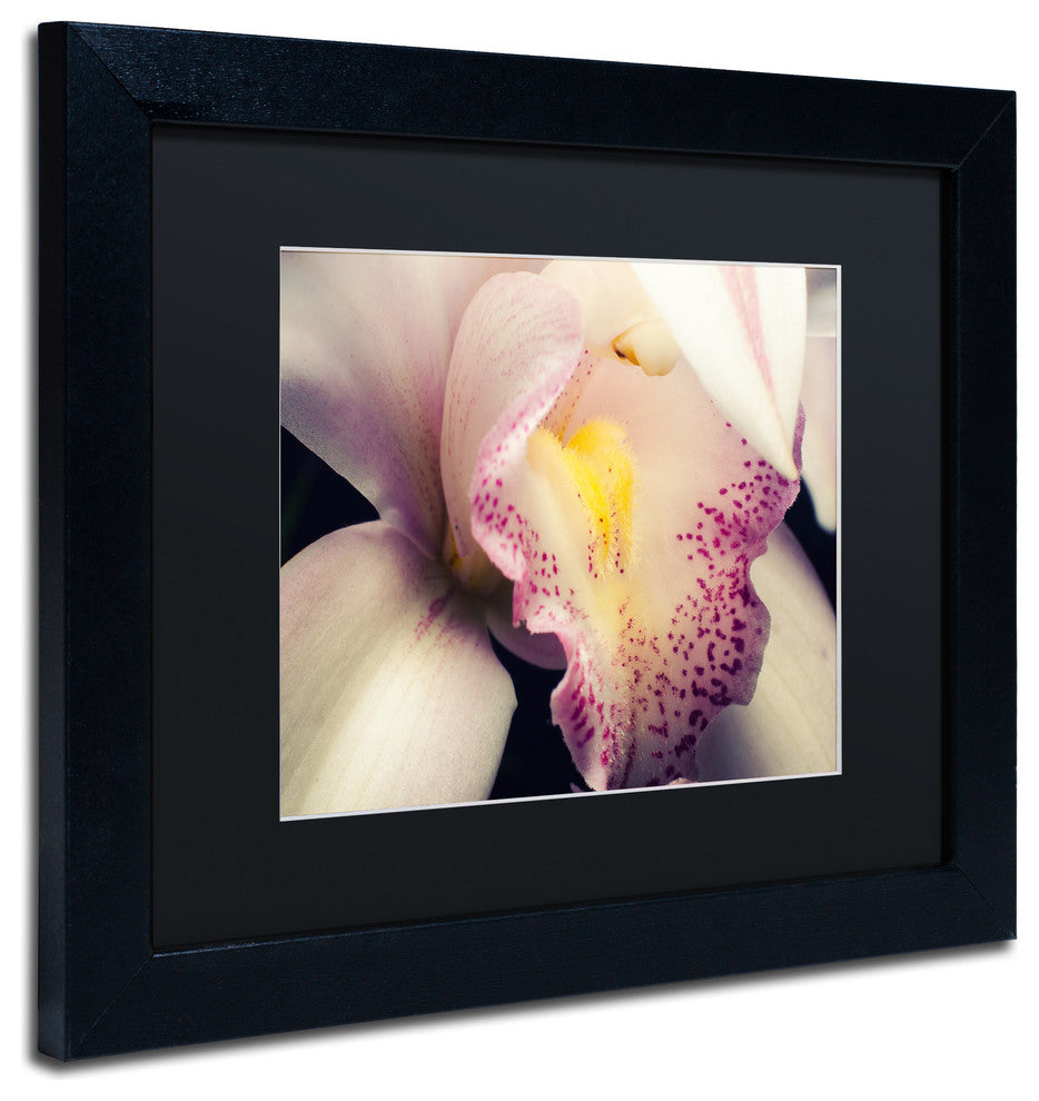 PIPA Fine Art 'Close-Up of Orchid' Matted Framed Art, 14x11