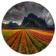 Beautiful Colored Tulips Panorama, Landscape Round Metal Wall Art, 23"