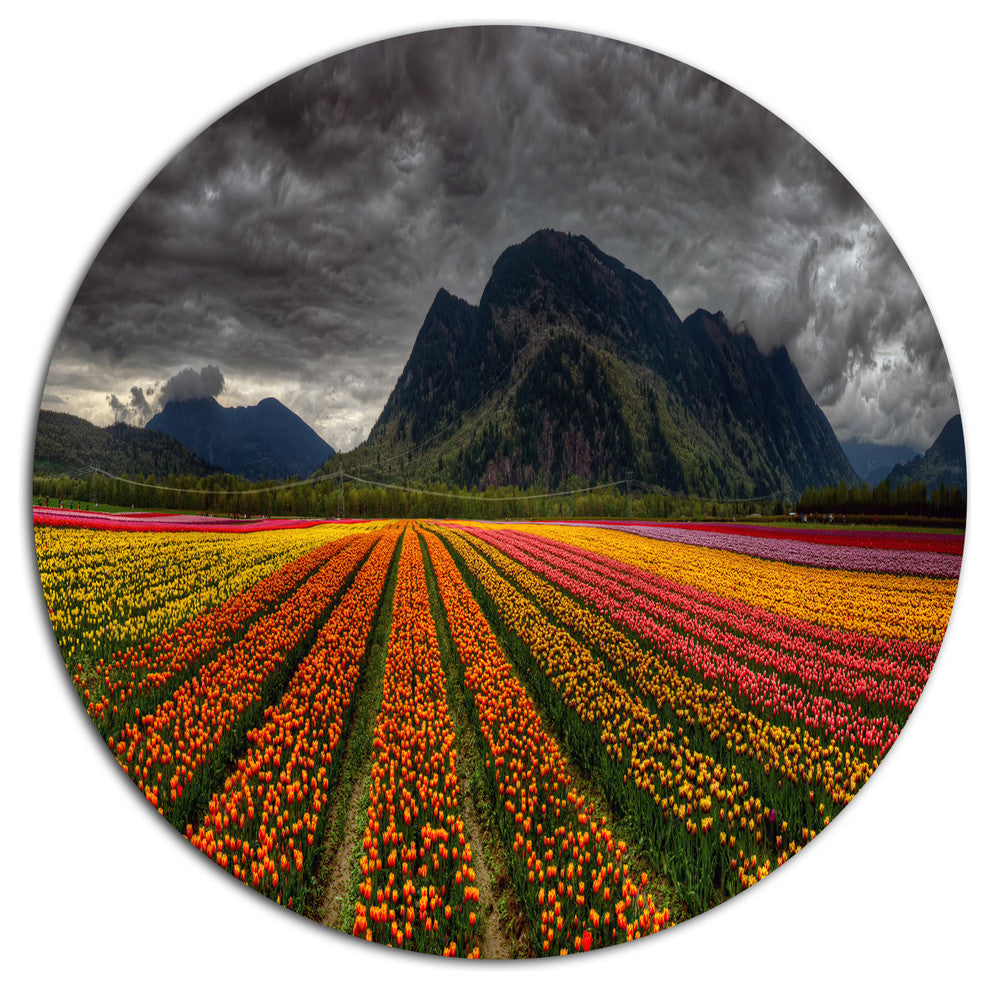 Beautiful Colored Tulips Panorama, Landscape Round Metal Wall Art, 23"