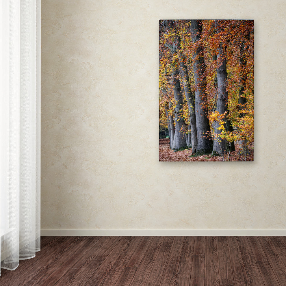Cora Niele ''Autumn Beeches II'' Canvas Art