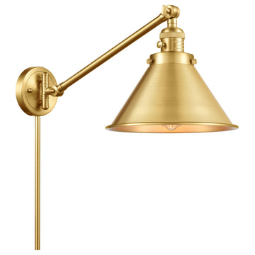 INNOVATIONS LIGHTING 237-SG-M10-SG Briarcliff 1 Light Swing Arm