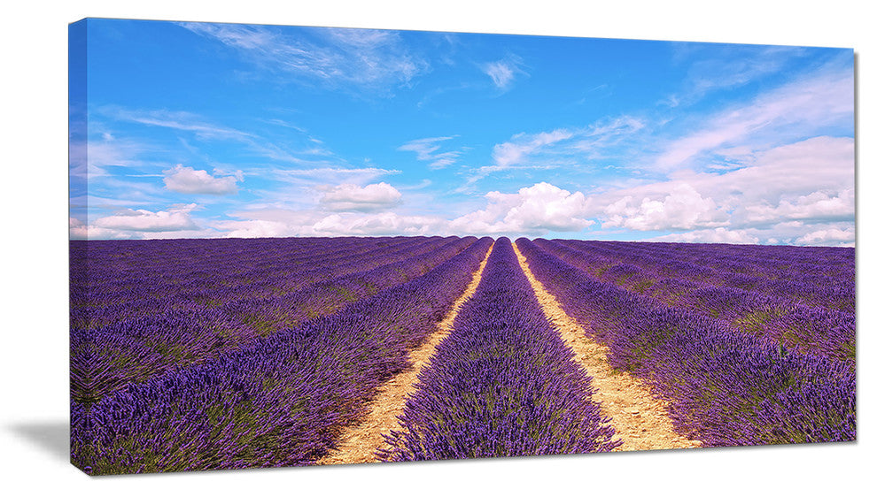 "Blooming Lavender Flower Field" Landscape Wall Art Print, 40"x20"