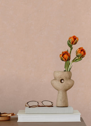 Mr. Kate Daphne Potter's Clay Peach Limewash Peel and Stick Wallpaper
