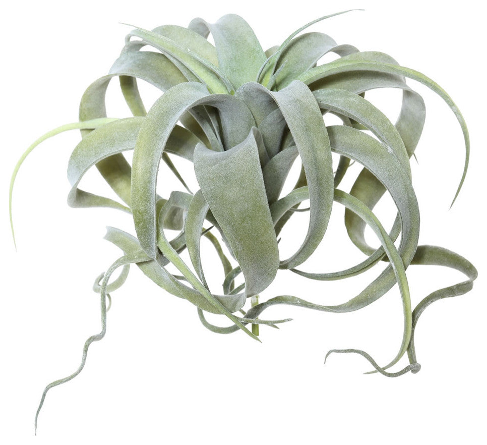 Vickerman Fe172301 10.5" Artificial Green Tillandsia Pick