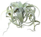 Vickerman Fe172301 10.5" Artificial Green Tillandsia Pick