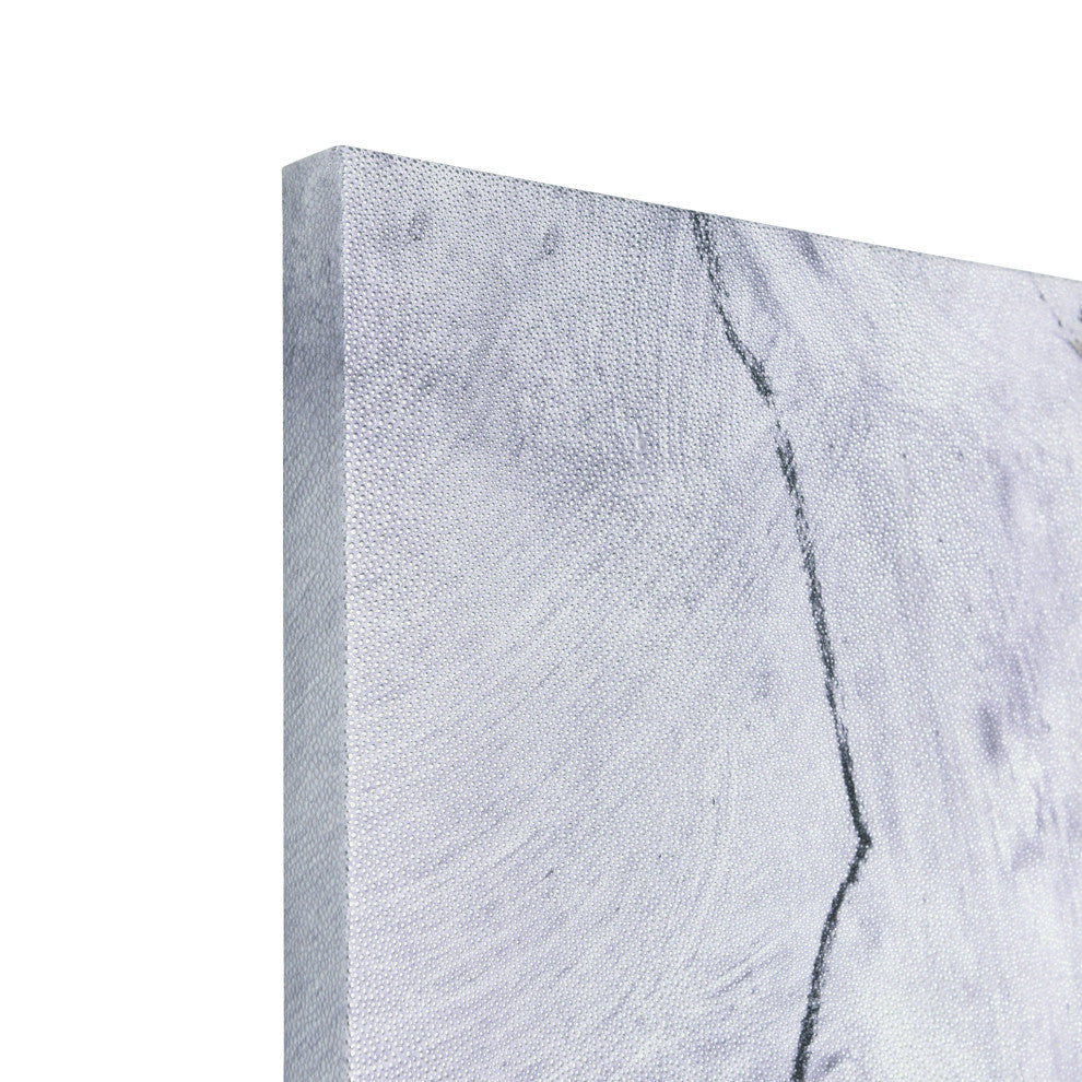 "Floral Serenity II" Flower Abstract Silver Shagreen Wrapped Canvas Wall Art