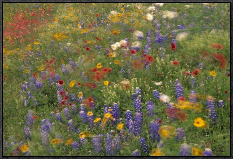 Wildflowers Blowing In The Wind, Hill Country, Texas, 30"x20"