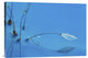 "Blue Water" Stretched Canvas Giclee by Heidi Westum, 24"x16"