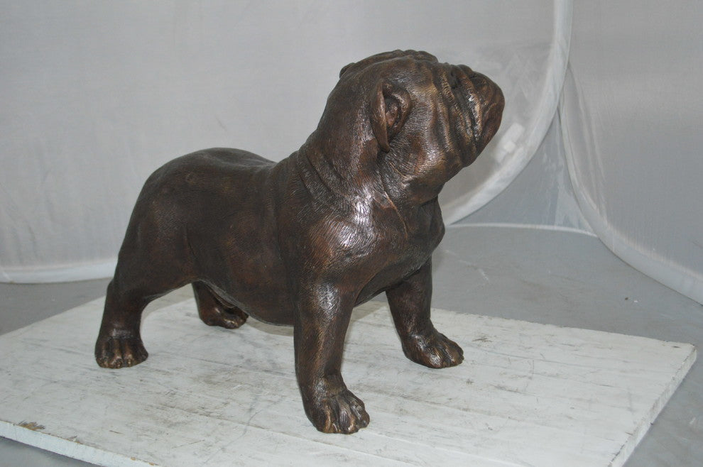 Bulldog Bronze Statue -  Size: 20"L x 9"W x 15"H.