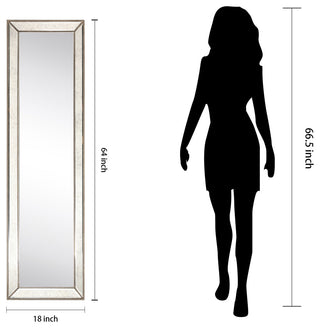 Champagne Bead Beveled Rectangle Cheval, Floor Mirror,1"-Beveled Center 18"x64"