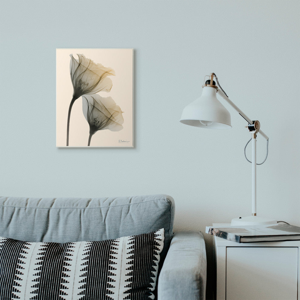 Neutral Light Flower Photograph, 13"x19"