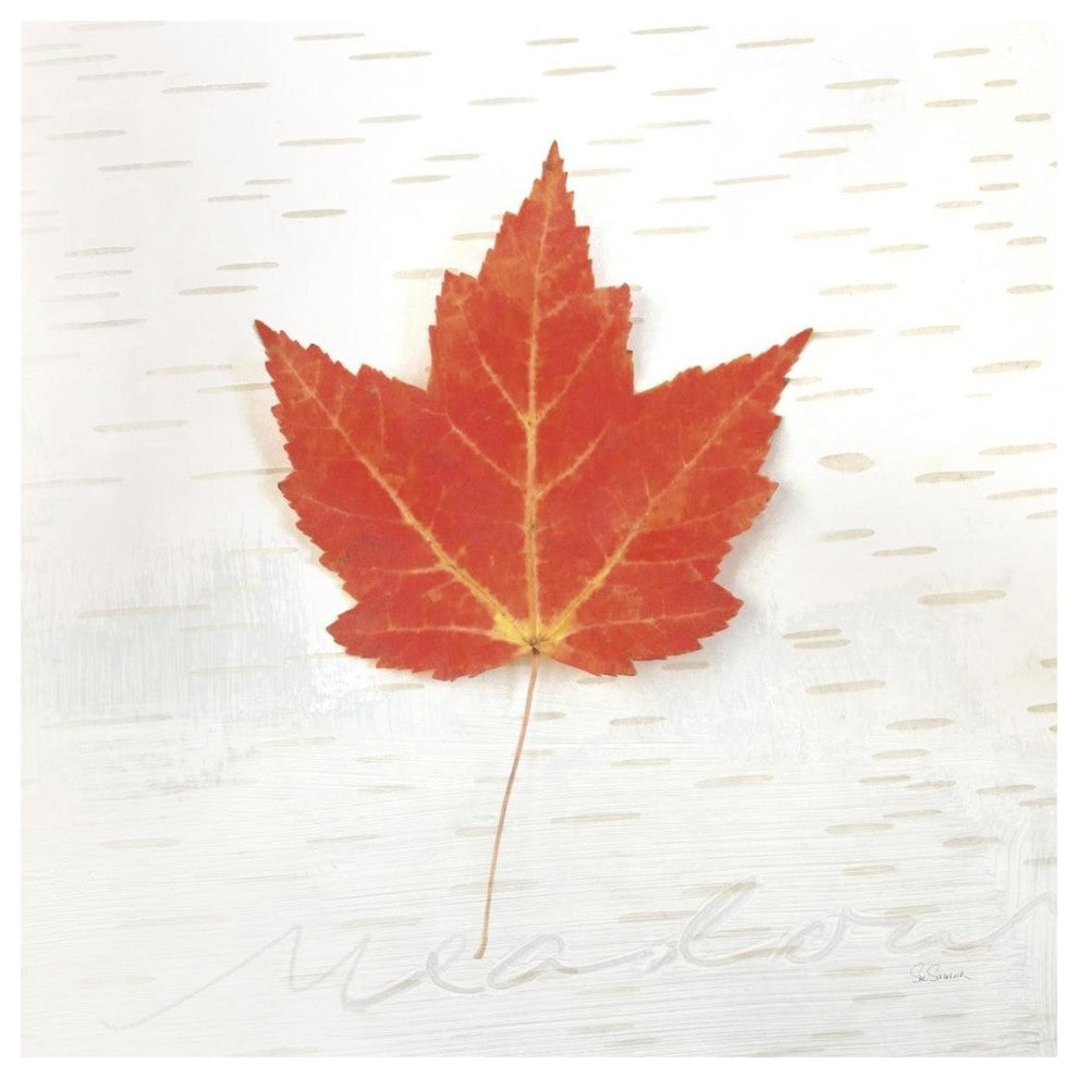 "Autumn Colors I" Digital Paper Print by Sue Schlabach, 32"x32"