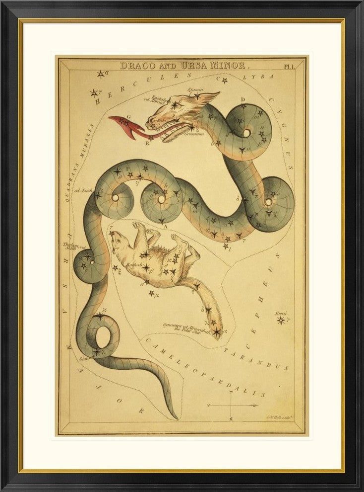 "Draco and Ursa Minor, 1825" Framed Digital Print by Jehoshaphat Aspin, 34x46"