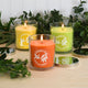 Citronella Scented Candles in 10oz Glass Jars, Set of 3