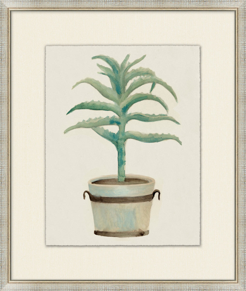 Aloe Pot 2, Giclee Reproduction Artwork