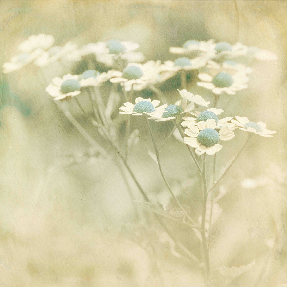 "Place For Me" Painting Print on Canvas by Jorgensen