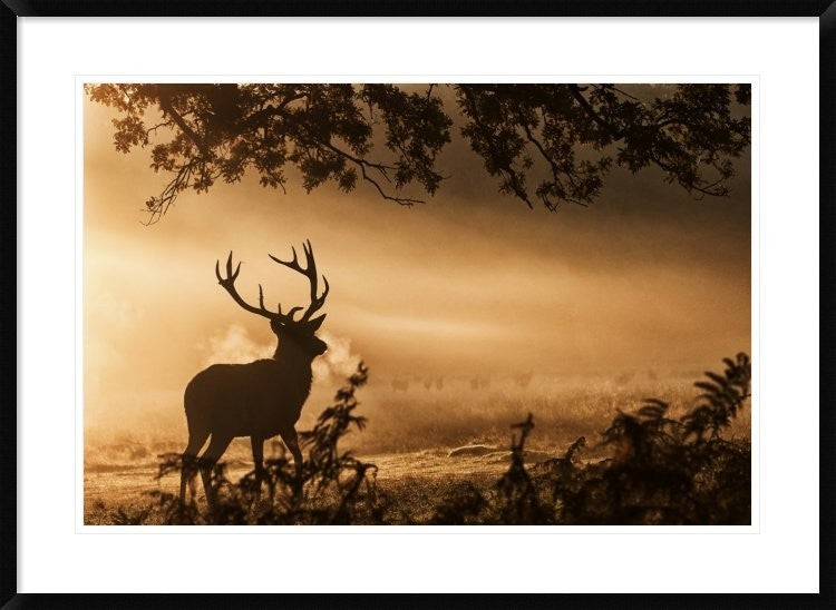 "Untitled" Framed Digital Print by Radojica Jevric Fotorax, 38"x28"