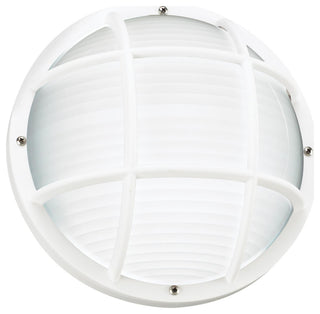 Bayside 1-Light Outdoor Wall/Ceiling Mount, White