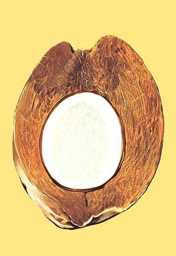 Coconut Core- Gallery Wrapped Canvas Art 28" x 42"