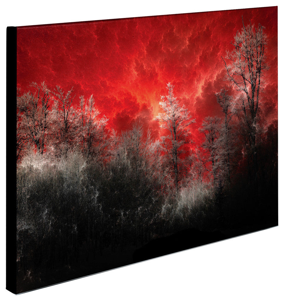 'Hot and Cold' Canvas Art by Philippe Sainte-Laudy