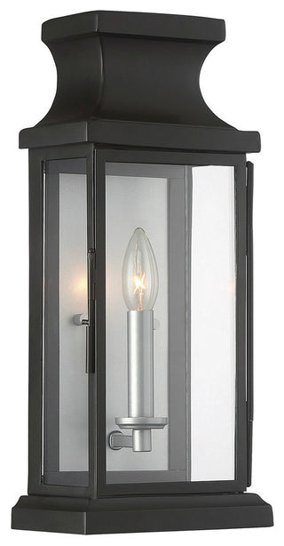 Brooke 1-Light Outdoor Wall Lantern