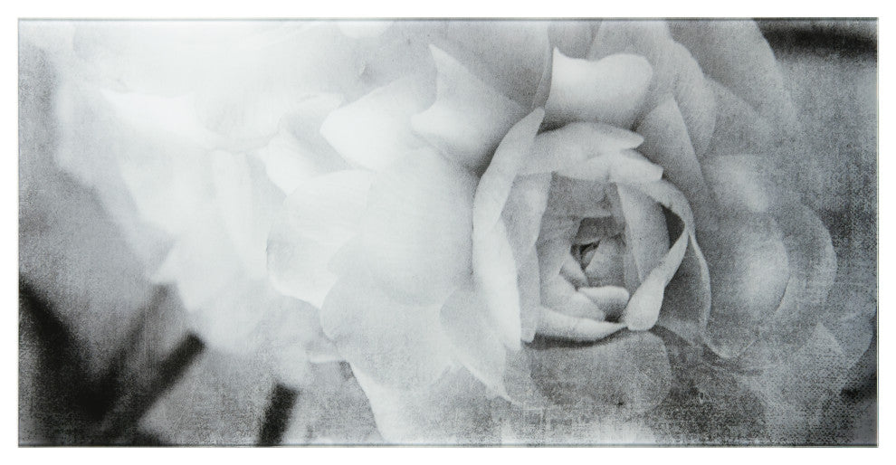 "Dark Ranunculus I A" Frameless Reverse Printed Tempered Art Glass Wall Art