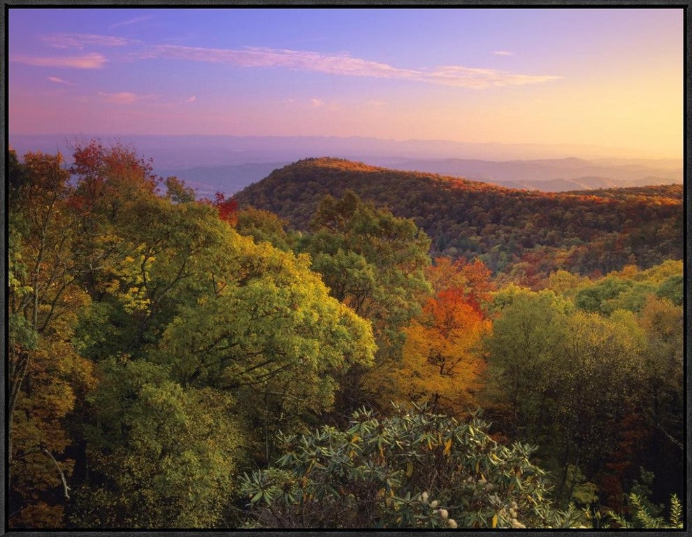 Blue Ridge Mountains With Deciduous Forests In Autumn, North Carolina, 32"x24"