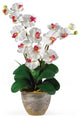 Double Phalaenopsis Silk Orchid Flower Arrangement, White