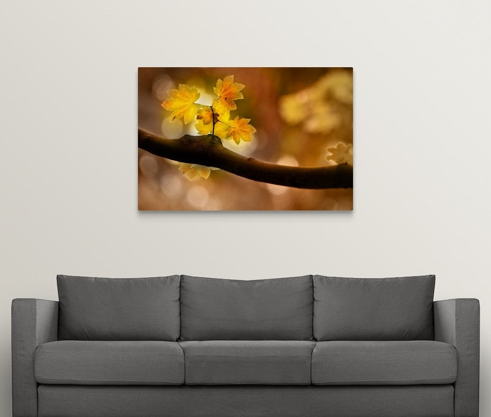 "In Autumn" Wrapped Canvas Art Print, 48"x32"x1.5"