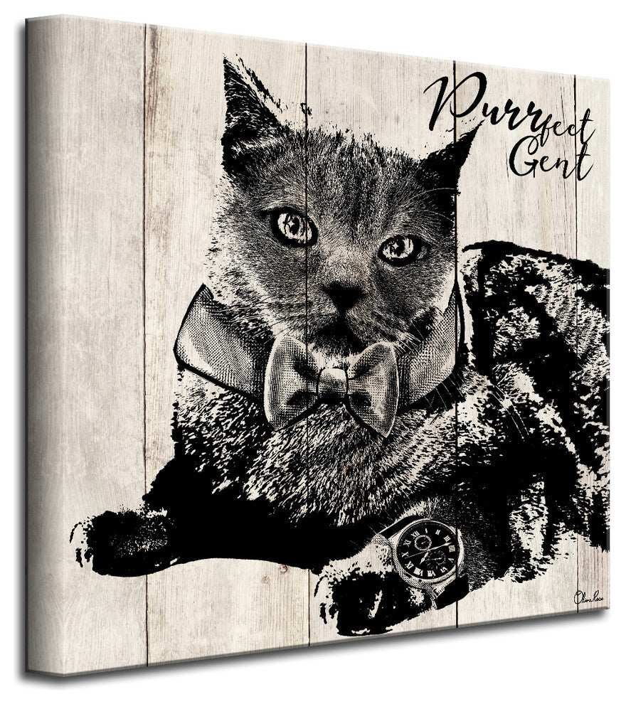 Ready2HangArt 'Purrfect Gent' Wrapped Canvas Cat Wall Art, 20"x20"
