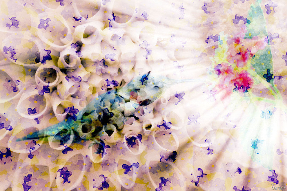 "Weightless" Fine Art Canvas Print, 24"x16"