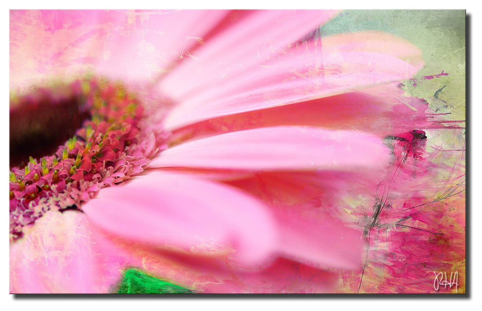 Painted Petals XLIV Canvas Art, 30"x40"