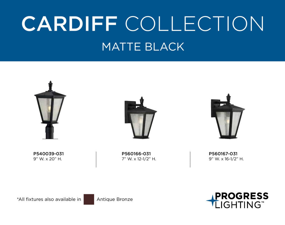Cardiff Collection 1-Light Medium Wall Lantern with DURASHIELD