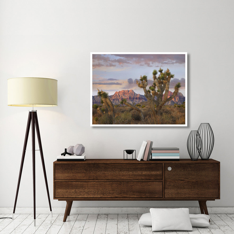 "Joshua Tree, Spring Mountains, Red Rock Canyon Conservation" Paper Art, 50"x38"