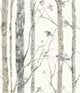 Birch Trees Peel and Stick Wallpaper