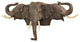 Raised Expectations Elephant Plaque